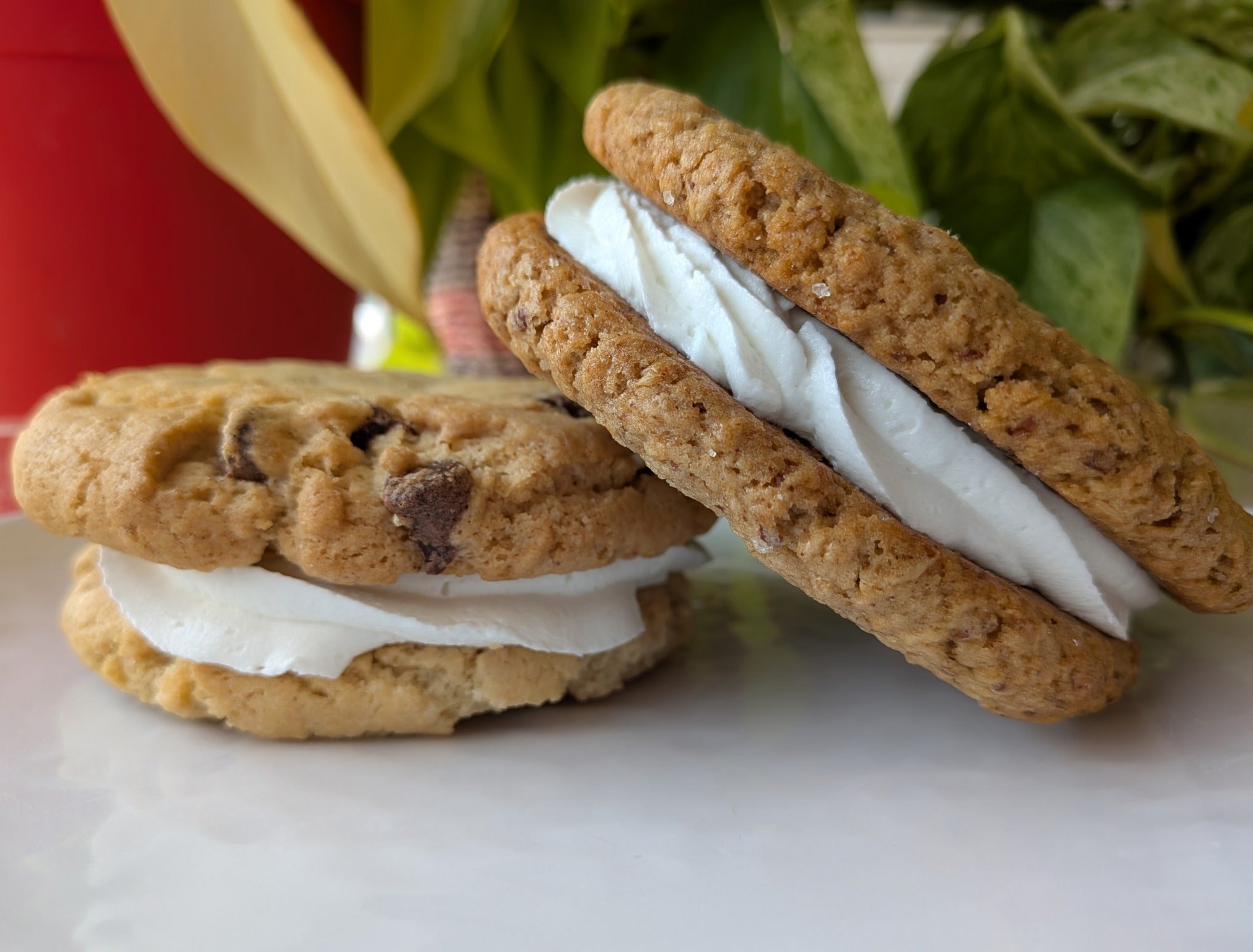 Wholesale Retail (packaged) Chocolate Chip Cookie Sandwiches (6)