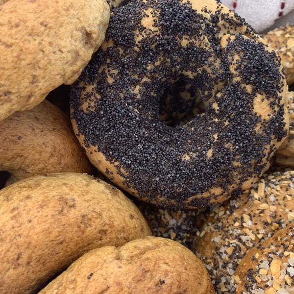New York Style Bagels 6 Pack