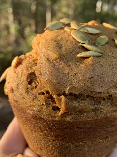 Classic Large Muffins 4pk
